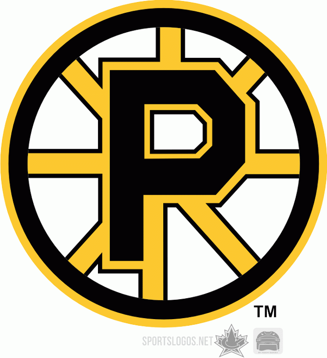 Providence Bruins 1995 96-2011 12 Primary Logo iron on paper